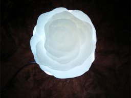 گل سنگی چراغ دار